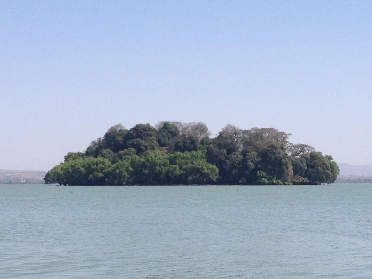 Lakemark Hotel And Tour Service Bahir Dar Ngoại thất bức ảnh