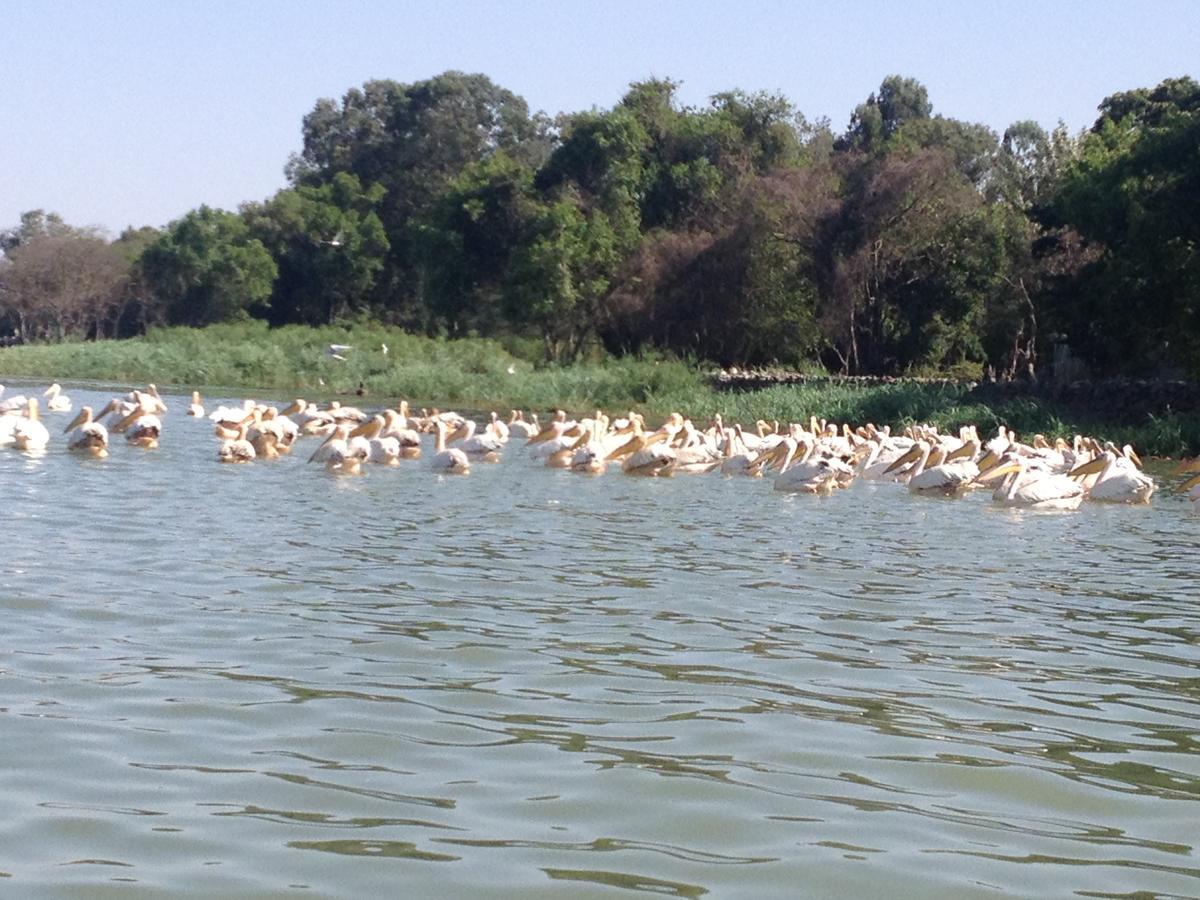 Lakemark Hotel And Tour Service Bahir Dar Ngoại thất bức ảnh